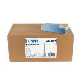 Kosmetikboxen 2-lagig, 100 % Zellstoff ,100 Tücher / Box, 40 Boxen / VE