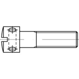 DIN 404 A 1 Kreuzlochschrauben mit Schlitz - Abmessung: M 5 x 30 VE=S (100 Stück )