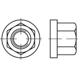 DIN 6331 A 4 Sechskantmuttern mit Bund, mit einer Höhe von 1,5d - Abmessung: M 24 SW 36 VE=S (10 Stück )