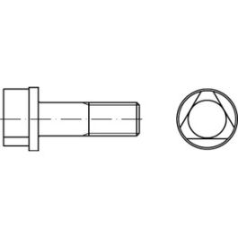 DIN 22424 8.8 Form A Dreikantschrauben, mit Vollschaft - Abmessung: AM 10 x 30 VE=S (100 Stück )