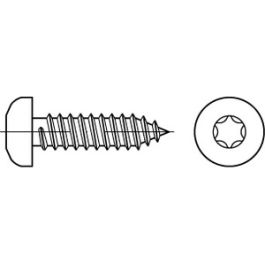 ISO 14585 A 2 Form C - ISR Flachkopf-Blechschrauben mit Spitze, mit Innensechsrund - Abmessung: 6,3 x 70 -C VE=S (250 Stück )