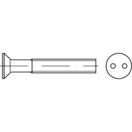 Artikel 88112 A 2 Zweiloch Diebstahlhemmende Schrauben mit Senkkopf ~ DIN 963, Zweiloch-Antrieb - Abmessung: M 6 x 40 VE=S (100 Stück )