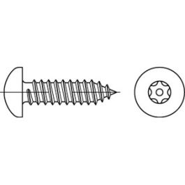 Artikel 88114 A 2 PIN-ISR Diebstahlhemmende Schrauben, Linsenkopf DIN 7981, Blechschr.-gew., ISR u. Zapfen - Abmessung: 6,3 x 50 VE=S (100 Stück )