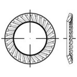 Artikel 88121 A 2 Form VS SCHNORR-Sperrzahnscheiben, beidseitig gezahnt - Abmessung: VS 20 x30 x2 VE=S (250 Stück )