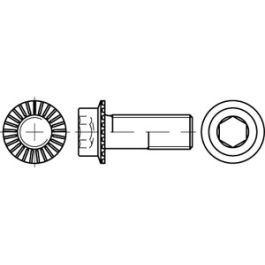 Artikel 88912 100 RIPP flZn/TL 480h (zinklamellenbesch.) Zylinder-Flanschschrauben mit Innensechskant, mit Sperr-Rippen - Abmessung: M 12 x 50 VE=S (100 Stück )